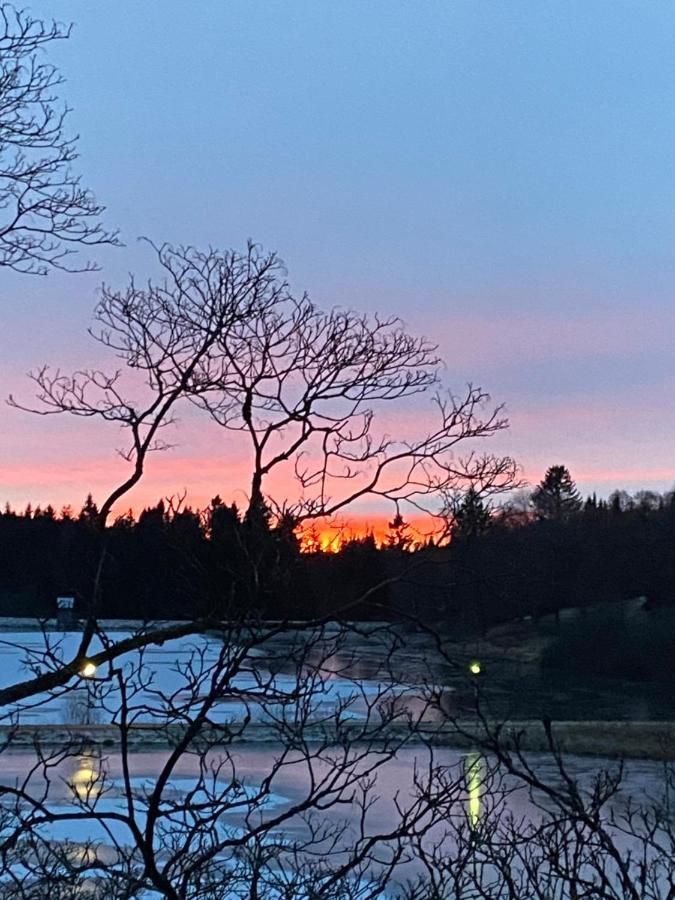 Seeblickapp. „Eure Auszeit“ Goslar Exteriör bild